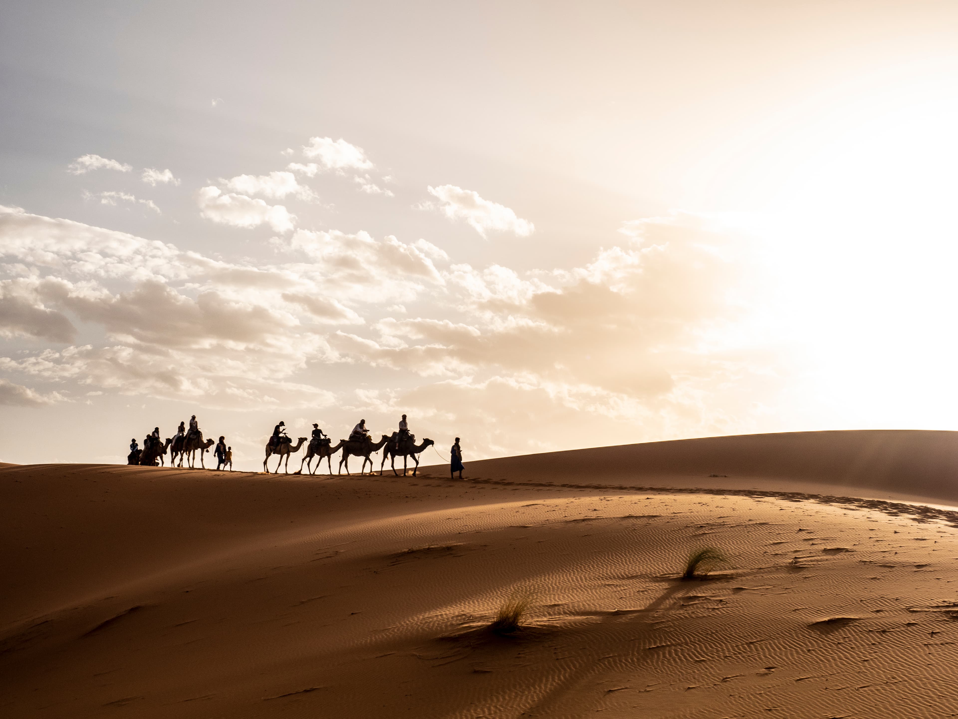 FREQUENTLY ASKED QUESTIONS